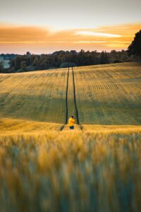How Ag Dealers Win Through Farmer Partnerships